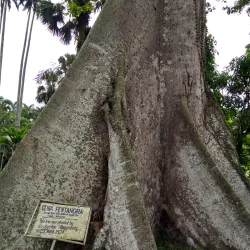 Aburi Botanical Gardens - Accra
