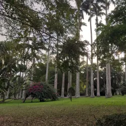 Aburi Botanical Gardens - Accra