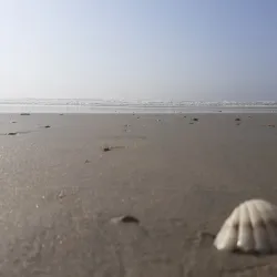 Labadi Beach - Accra