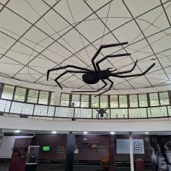 National Museum of Ghana - Accra