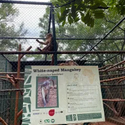 Achimota Forest Reserve - Achimota