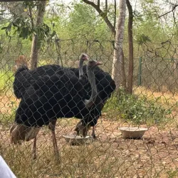 Achimota Forest Reserve - Achimota