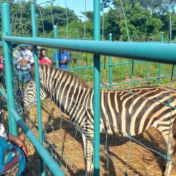 Achimota Forest Reserve - Achimota