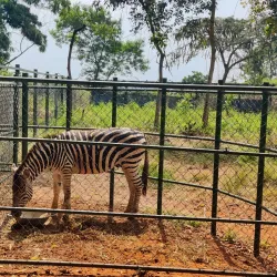 Achimota Forest Reserve - Achimota