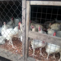 Achimota Market - Achimota