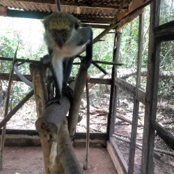 Nearby Accra Attractions - Achimota