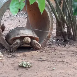 Nearby Accra Attractions - Achimota