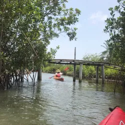 Ada Sea Turtle Conservation Project - Ada