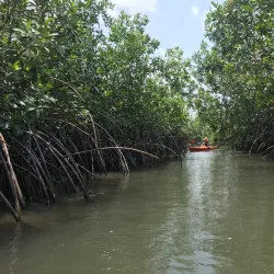 Ada Sea Turtle Conservation Project - Ada