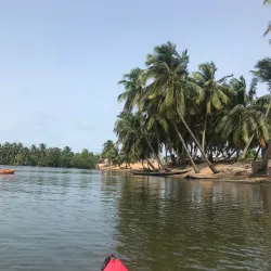 Ada Sea Turtle Conservation Project - Ada