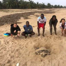 Ada Sea Turtle Conservation Project - Ada
