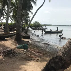 Ada Sea Turtle Conservation Project - Ada