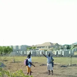 Ashaiman Cultural Festivals - Ashaiman