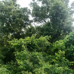 Gambaga Escarpment - Bawku