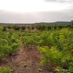 Gambaga Escarpment - Bawku