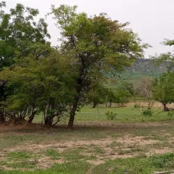 Gambaga Escarpment - Bawku