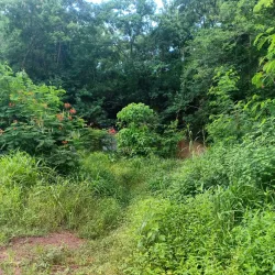 Gambaga Escarpment - Bawku