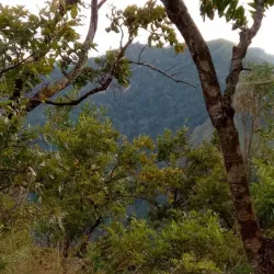 Mount Afadja (Afadjato) - Ho