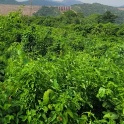 Akosombo Dam (nearby) - Koforidua