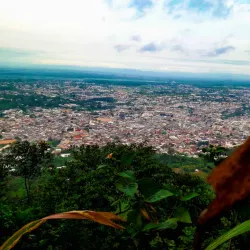 Obuo Tabri Sacred Grove - Koforidua