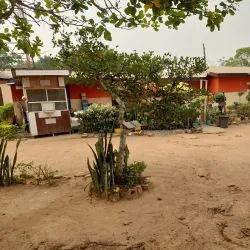 Obuo Tabri Sacred Grove - Koforidua