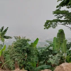 Obuo Tabri Sacred Grove - Koforidua