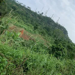 Obuo Tabri Sacred Grove - Koforidua