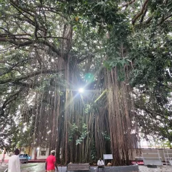 Manhyia Palace Museum - Kumasi