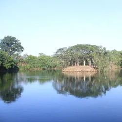 Legon Botanical Gardens - Legon