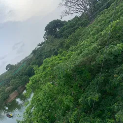 Legon Botanical Gardens - Legon