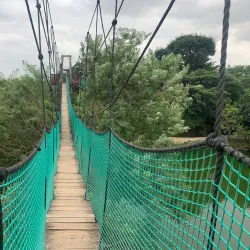 Legon Botanical Gardens - Legon