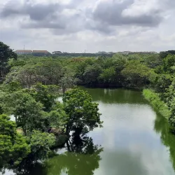 Legon Botanical Gardens - Legon
