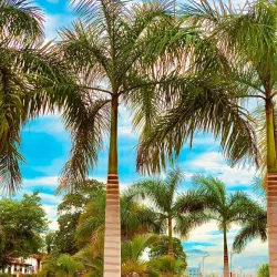 University of Ghana - Legon