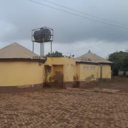 Chief's Palace Tamale - Tamale