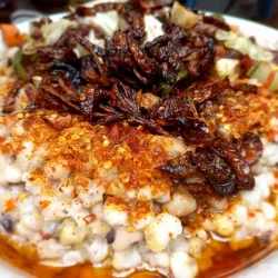 Gurugu Sacred Grove - Tamale