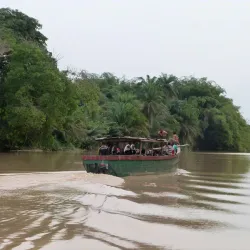 Ankobra Forest Reserve - Tarkwa