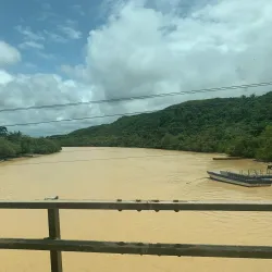 Ankobra Forest Reserve - Tarkwa