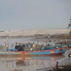 Ankobra Forest Reserve - Tarkwa