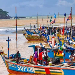 Ankobra Forest Reserve - Tarkwa