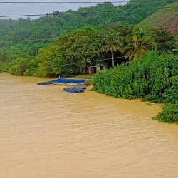 Ankobra Forest Reserve - Tarkwa