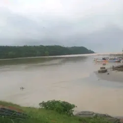 Ankobra Forest Reserve - Tarkwa