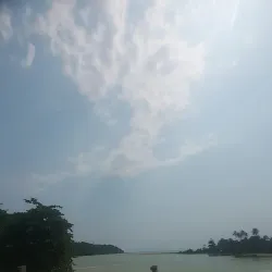 Ankobra Forest Reserve - Tarkwa