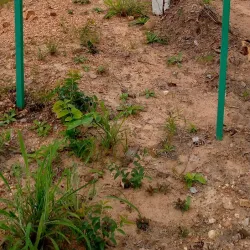 Gbele Resource Reserve - Wa