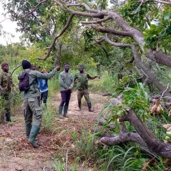 Gbele Resource Reserve - Wa