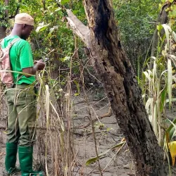 Gbele Resource Reserve - Wa
