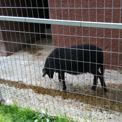 Acharnes Municipal Park - Acharnes (Axarnai)