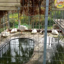 Acharnes Municipal Park - Acharnes (Axarnai)