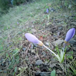 Mount Parnitha National Park - Acharnes (Axarnai)
