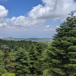 Mount Parnitha National Park - Acharnes (Axarnai)