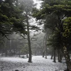 Mount Parnitha National Park - Acharnes (Axarnai)